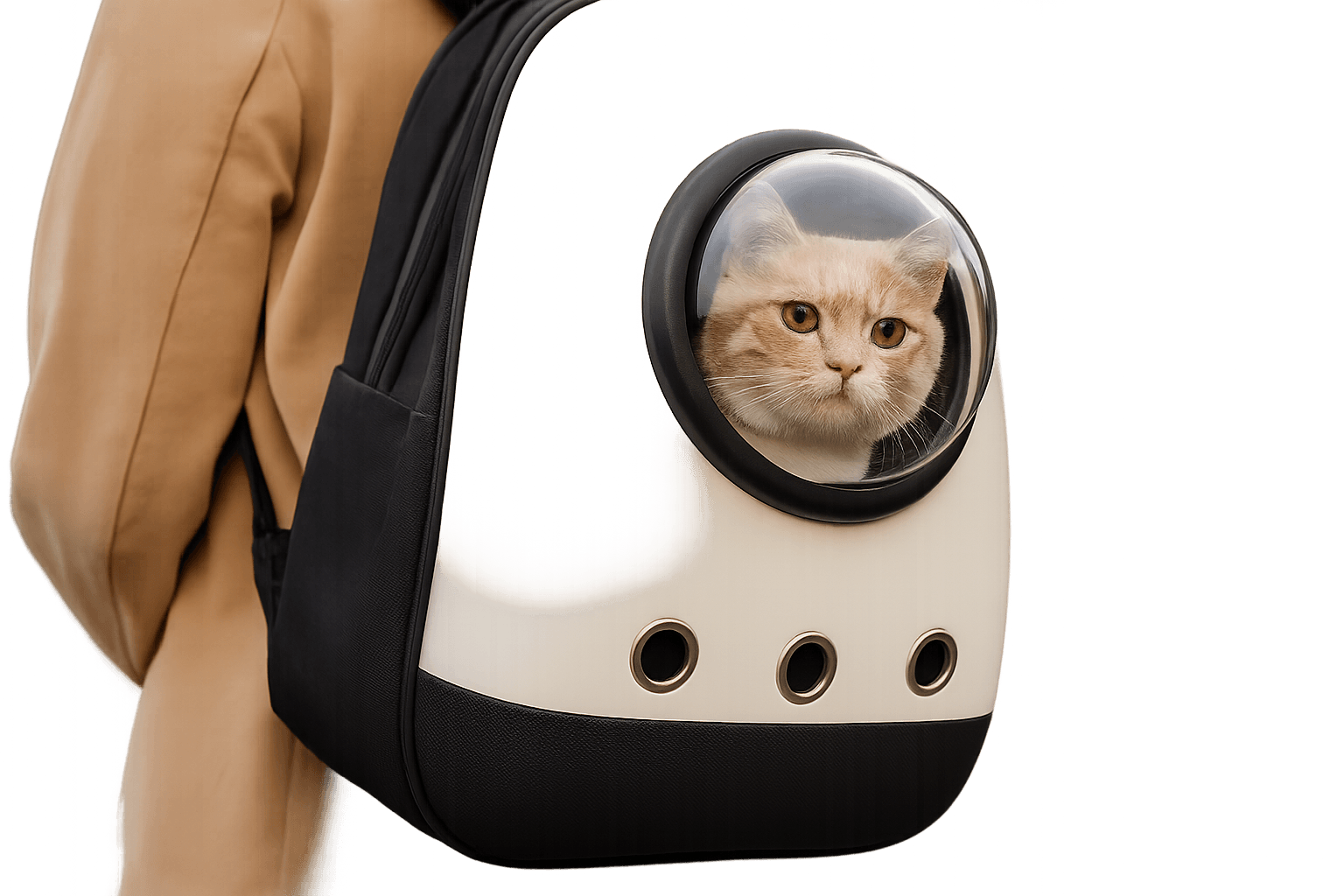 Best Smart Cat Carriers 2025: Stress-Free Travel with Tech