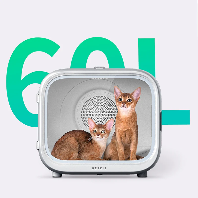 PETKIT AirSalon Max 60-liter pet dryer chamber with two small cats inside.