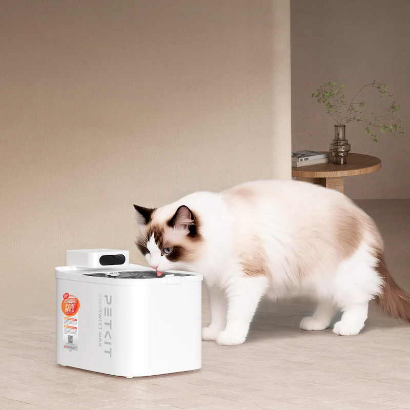 PETKIT EverSweet Max 2 UVC cordless water fountain placed away from a wall outlet in a modern home.