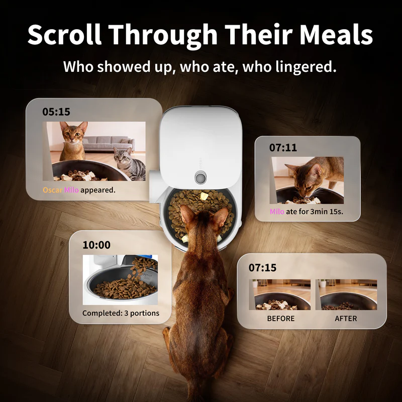 PETKIT YumShare Solo 2 Camera app showing meal history, feeding activity, and cat monitoring features.