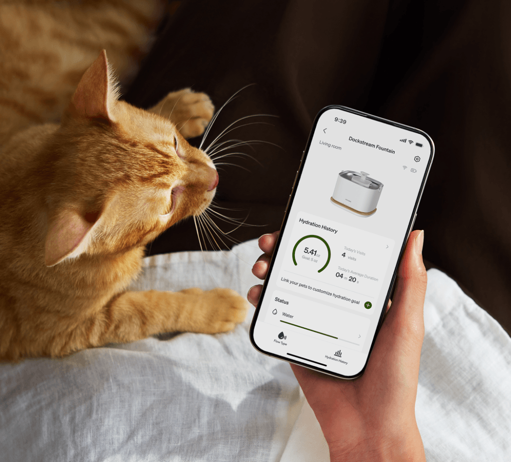 Orange cat beside a phone showing PETLIBRO Dockstream Fountain hydration history and water status in the PETLIBRO app